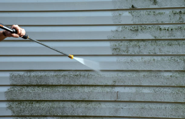 Professional Pressure Washing Services in Baudette, MN